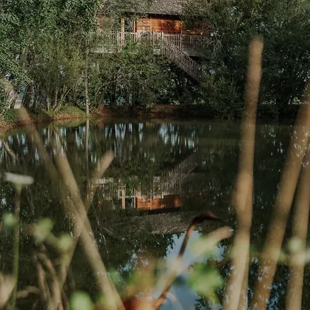 Perchees Dans Les Arbres *