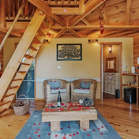 Perchees Dans Les Arbres