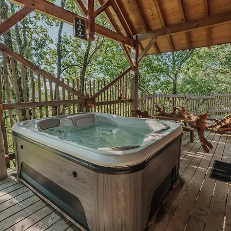 Perchees Dans Les Arbres Capdrot