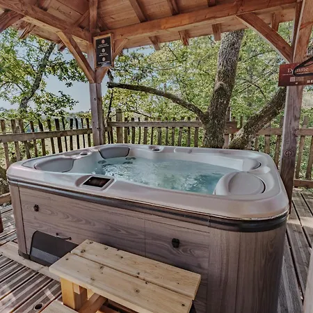 Perchees Dans Les Arbres *