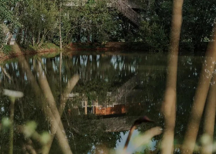 Perchees Dans Les Arbres *