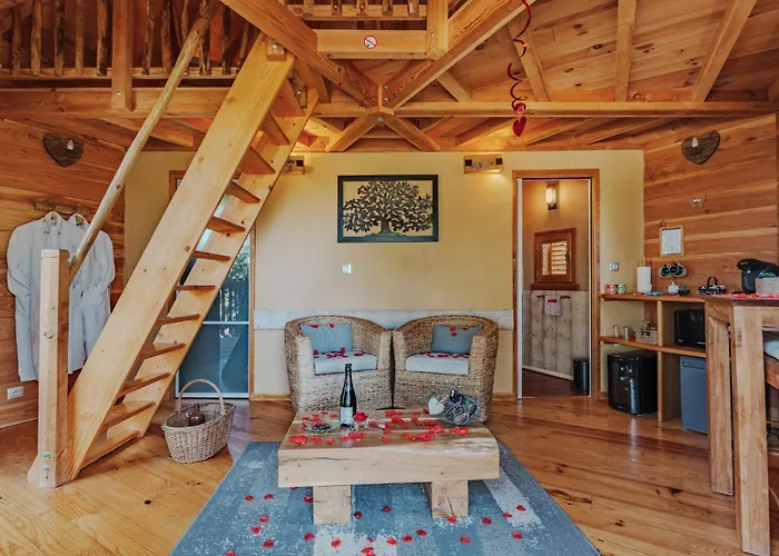 Perchees Dans Les Arbres