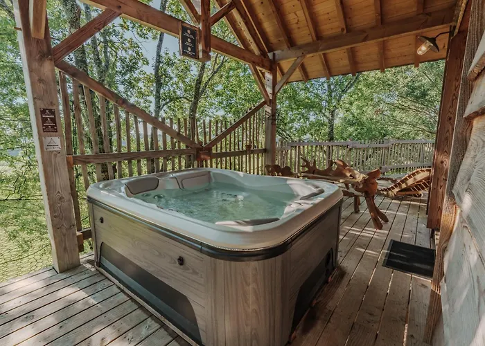 Perchees Dans Les Arbres Capdrot