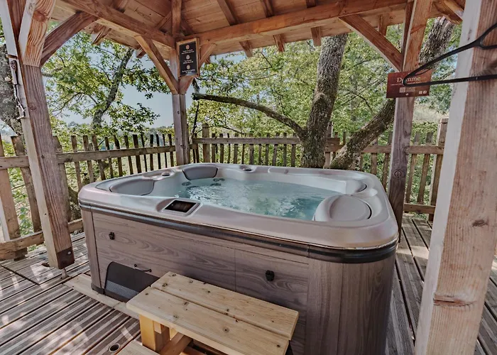 Perchees Dans Les Arbres *