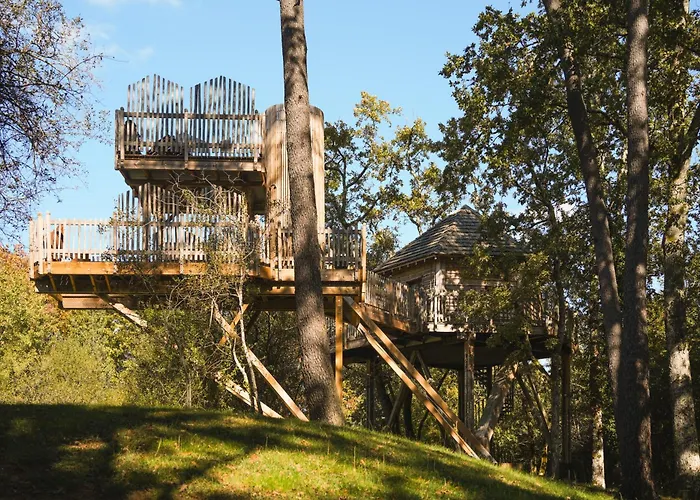 Hotel Perchees Dans Les Arbres
