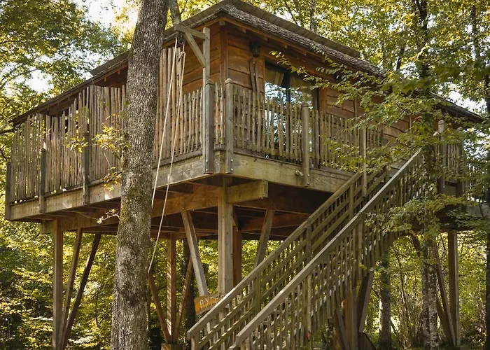 Perchees Dans Les Arbres Capdrot